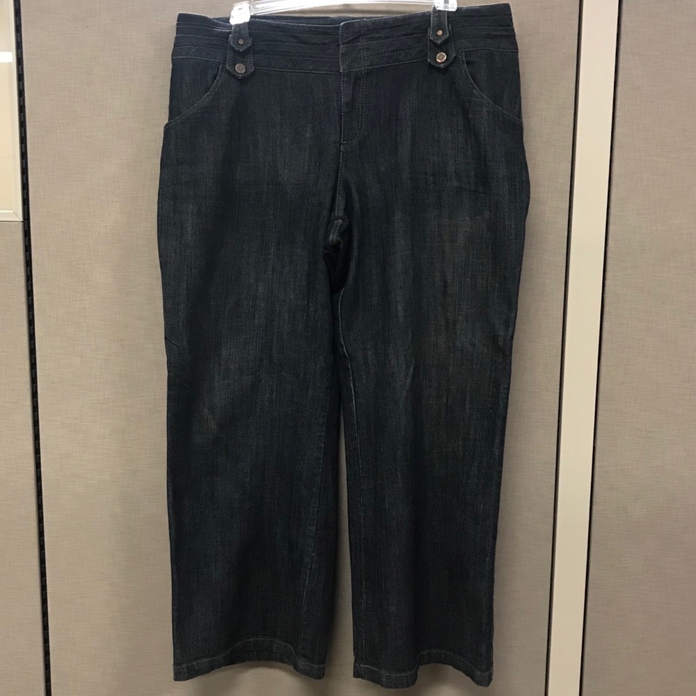 Lane Bryant Dressy Denim Jeans